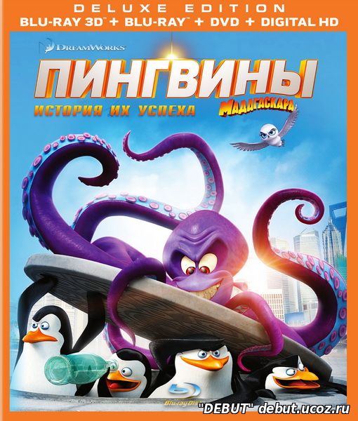 Пингвины Мадагаскара
